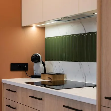 A Stylish Tenement House In The Very Center Of Apartment