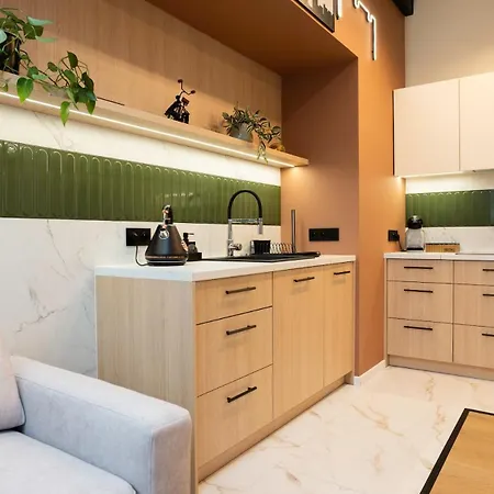 A Stylish Tenement House In The Very Center Of Appartement