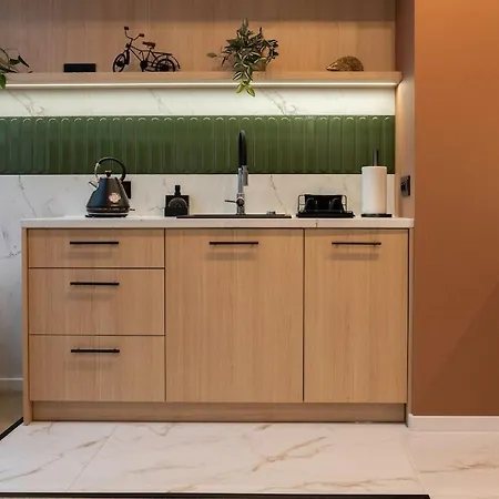 A Stylish Tenement House In The Very Center Of