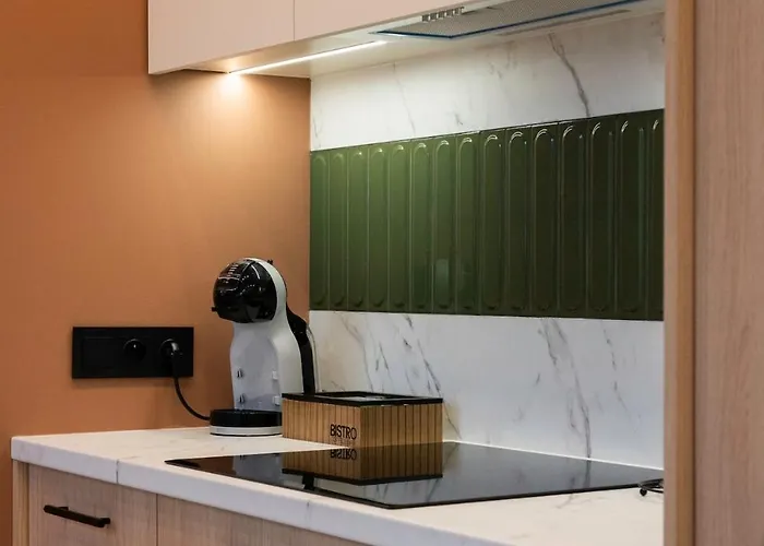 A Stylish Tenement House In The Very Center Of Appartement