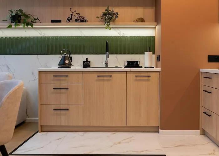 A Stylish Tenement House In The Very Center Of